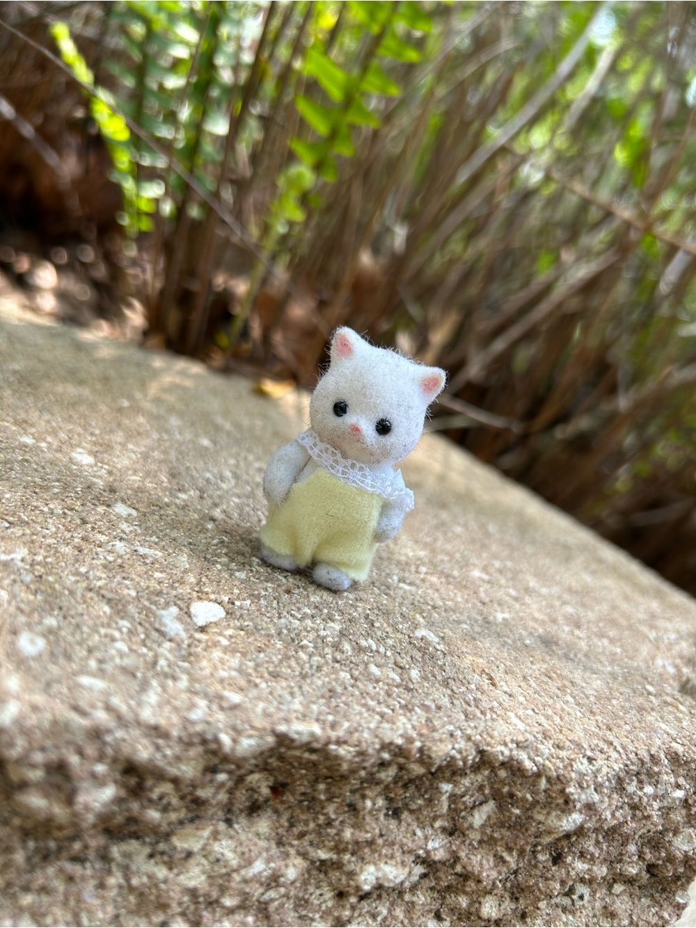 Calico Critters Ryan the Persian Cat ~